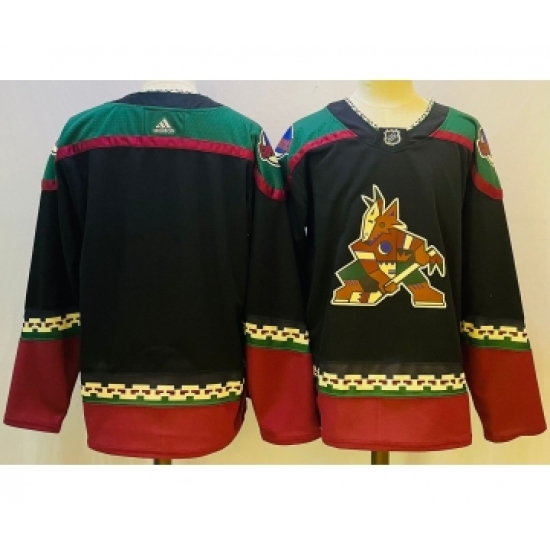 Men's Arizona Coyotes Blank Black Stitched Jersey - Ujersey