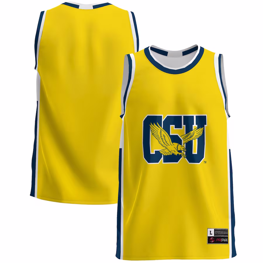 Coppin State Eagles GameDay Greats  Lightweight Basketball Jersey - Blue