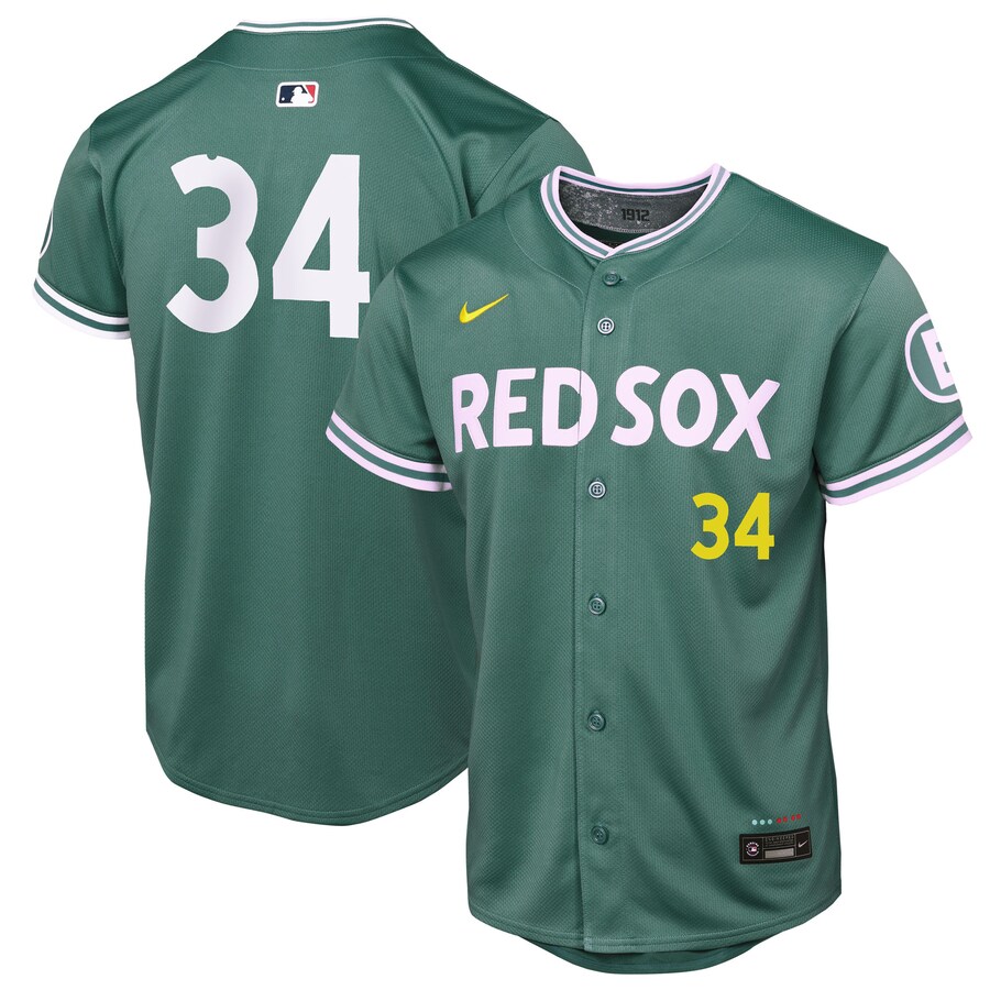 Youth Boston Red Sox David Ortiz Nike Green 2025 City Connect Limited Retired Player Jersey