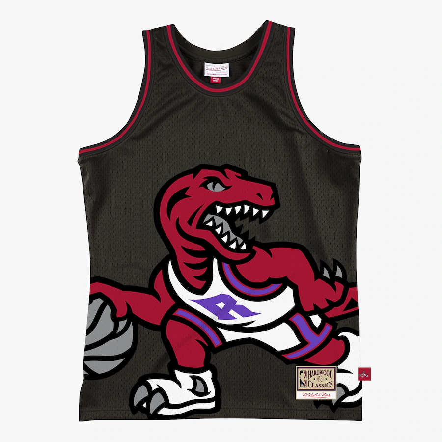 Men's Toronto Raptors Mitchell & Ness Black Hardwood Classics Blown Out Fashion Jersey - U-jersey