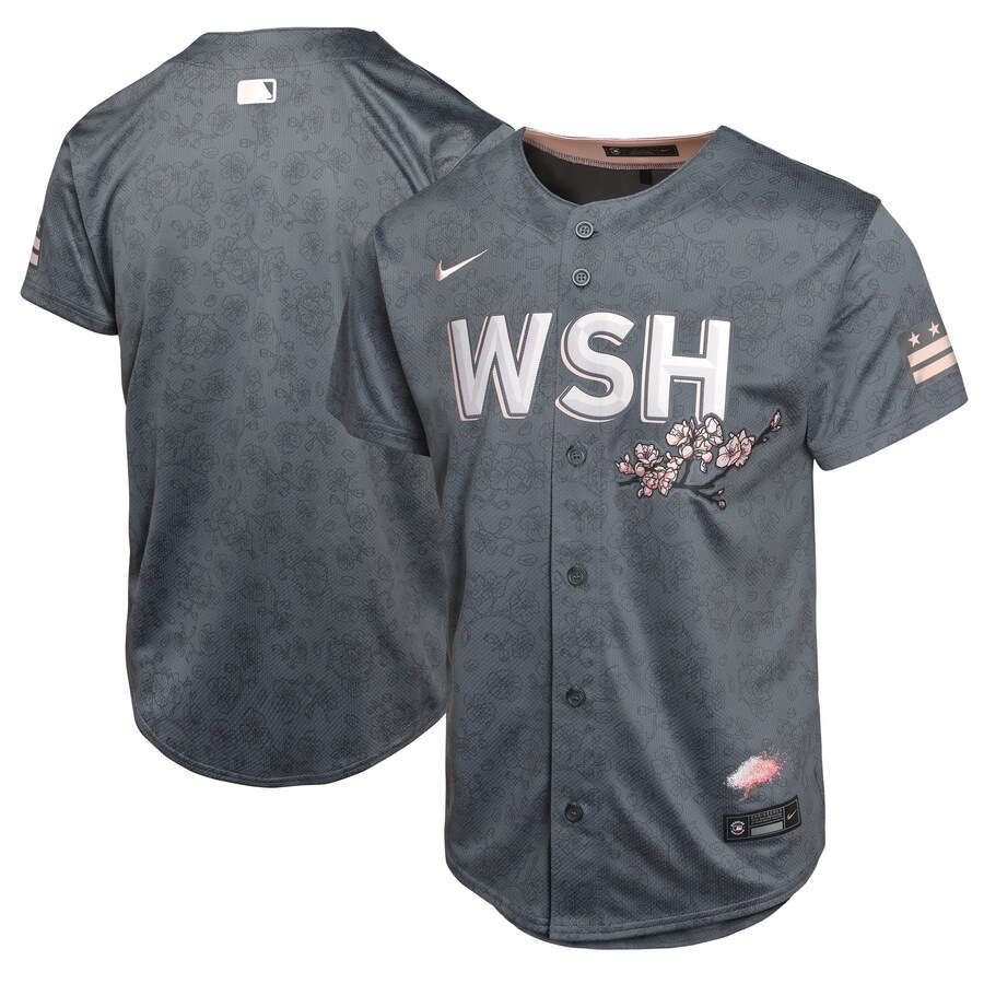 Youth Washington Nationals  Nike Charcoal City Connect Limited Jersey - ujerseystore