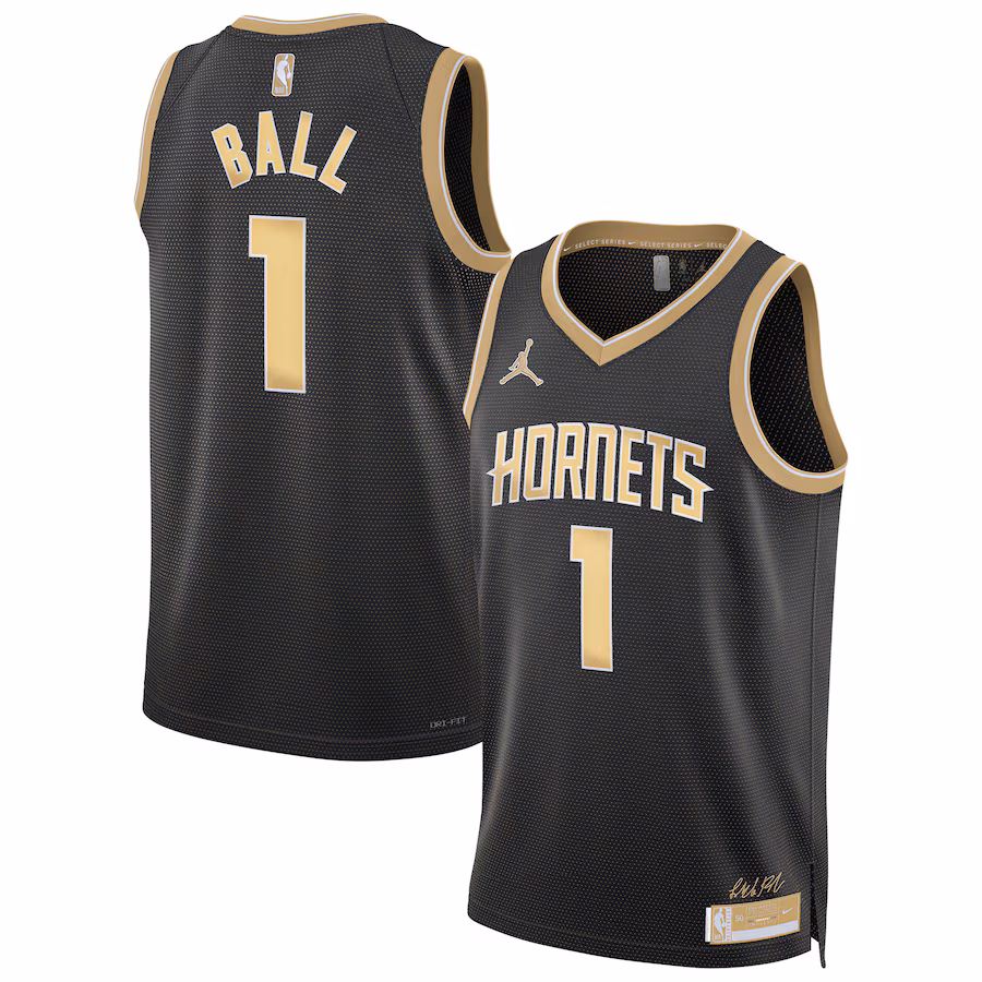 Unisex Charlotte Hornets LaMelo Ball Jordan Brand Black  Select Series Swingman Jersey - ujerseystore