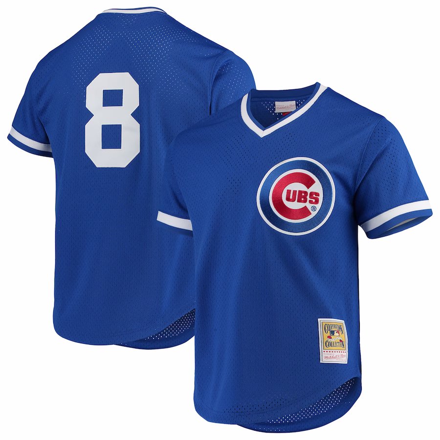 Men's Chicago Cubs Andre Dawson Mitchell & Ness Royal Cooperstown Collection Mesh Batting Practice Jersey - ujerseystore