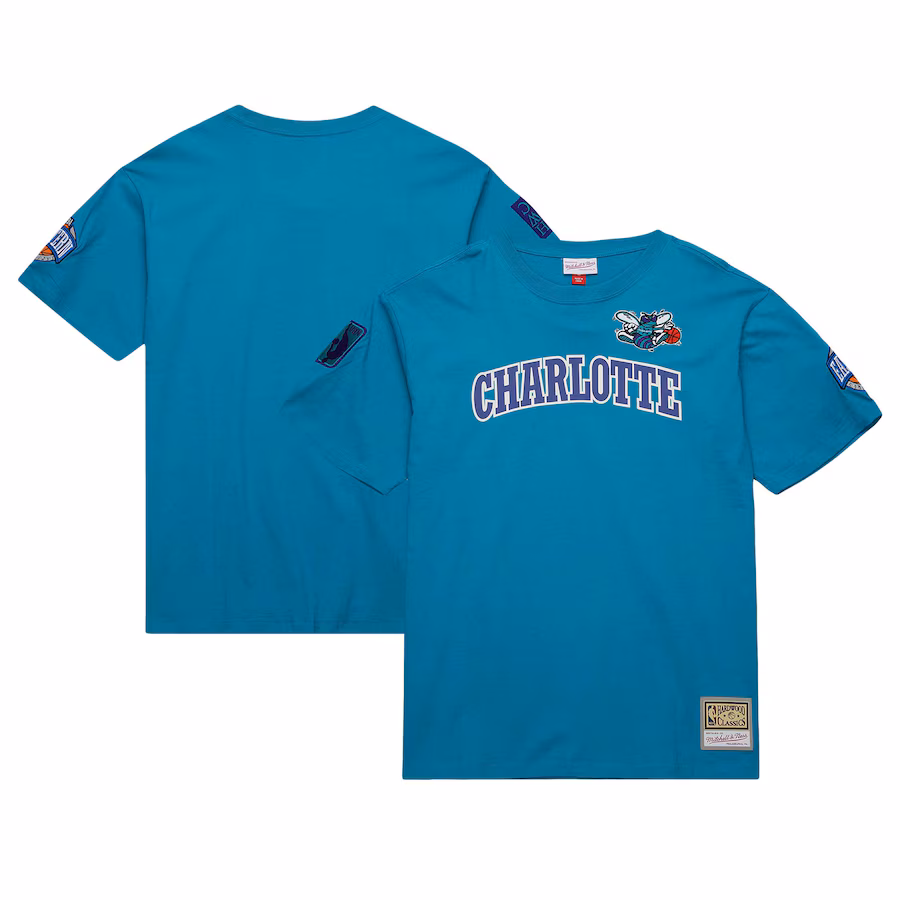 Men's Charlotte Hornets Mitchell & Ness Teal Hardwood Classics Nights Premium T-Shirt - ujerseystore