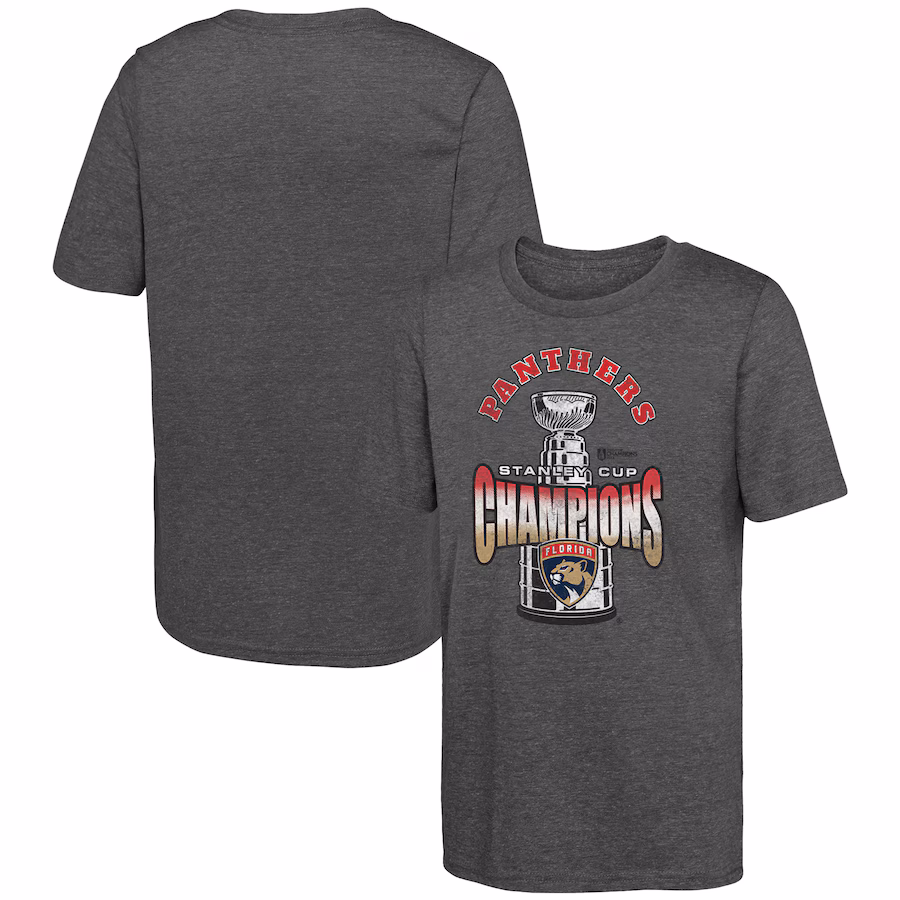 Youth Florida Panthers Fanatics Heather Gray 2024 Stanley Cup Champions Tri-Blend T-Shirt - ujerseystore