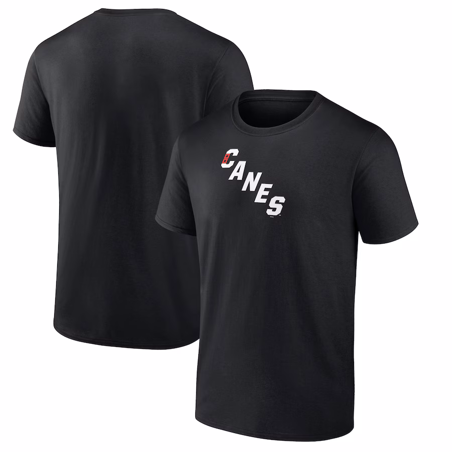 Men's Carolina Hurricanes Black Team Primary Logo Graphic T-Shirt - ujerseystore